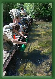 Philmont--Crew-3 (43) * 2000 x 3000 * (1.56MB)